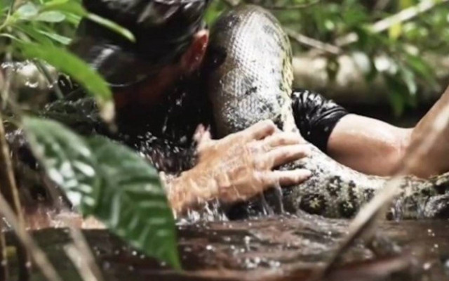 Θέλει να τον καταπιεί ζωντανό ένα... ανακόντα (βίντεο)