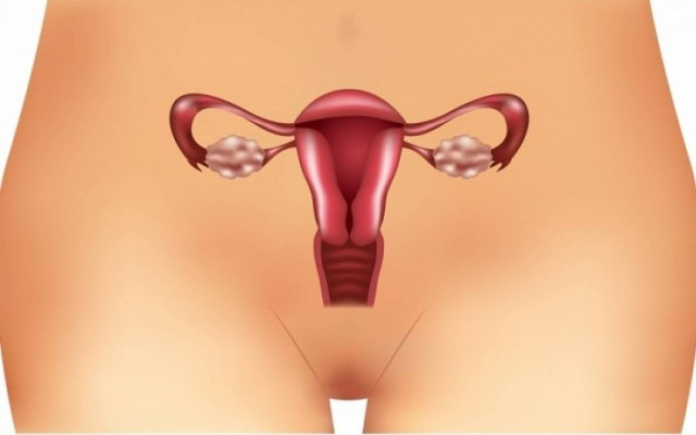 Υπάρχει επιστημονικός τρόπος να καθυστερήσουμε την περίοδο;