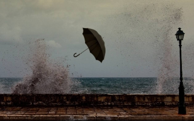 Ισχυροί άνεμοι ξεριζώνουν δέντρα στην Πρέβεζα(Pics)