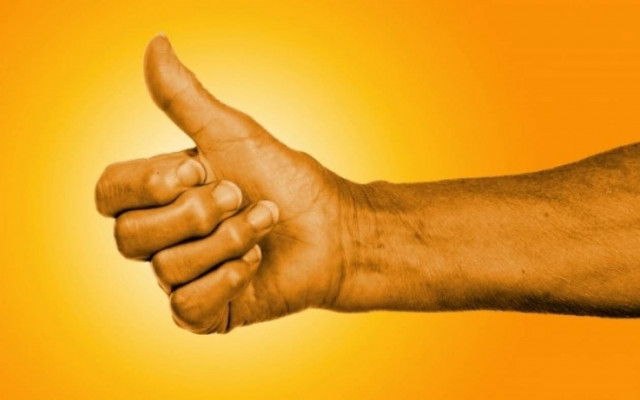 Τα βότανα που καταπολεμούν την αρθρίτιδα