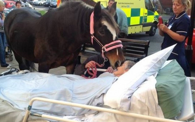 Αποχαιρέτησε το άλογό της και «έφυγε» χαμογελαστή