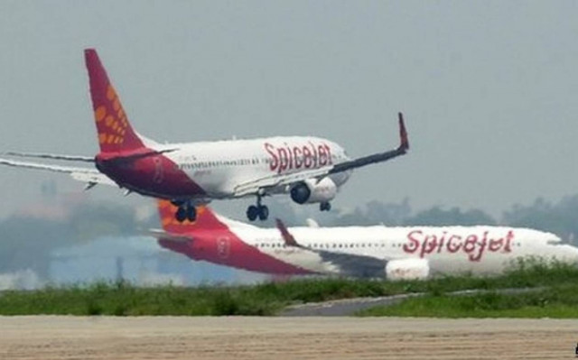 Αεροσκάφος προσέκρουσε πάνω σε... βουβάλι!