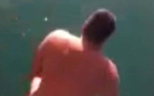 Αυστραλός είδε καρχαρία και… βούτηξε!