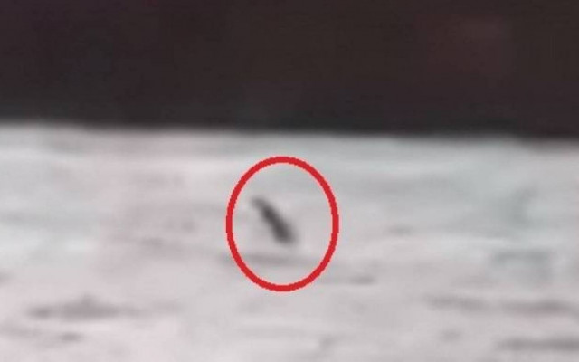 Βρέθηκε το τέρας του Λόχνες;