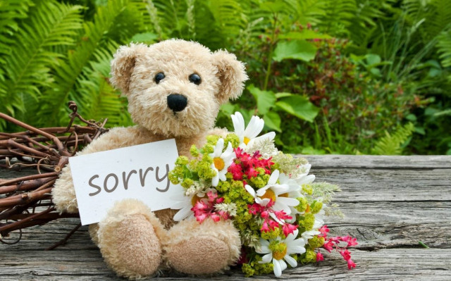 Ζήτα του συγνώμη ανάλογα με το ζώδιό του!