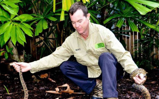 Φίδι... αυτοκτόνησε!