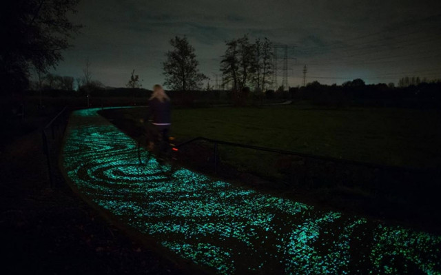 Ο πιο όμορφος ποδηλατοδρόμος βρίσκεται στην Ολλανδία