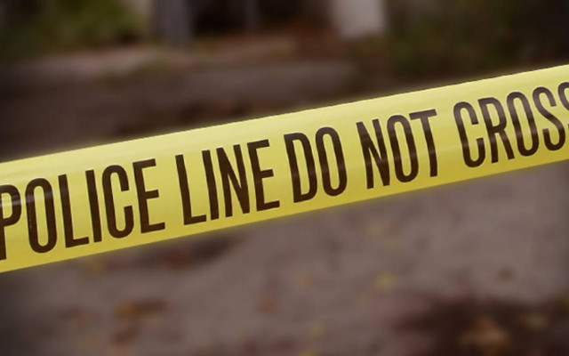 ΗΠΑ: 12χρονος πυροβόλησε την 9χρονη αδερφή του (video)