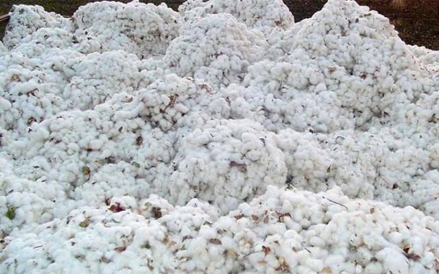 Θάνατος 35χρονου σε εκκοκκιστήριο στο Αχίλλειο