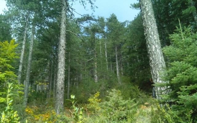 «60’ Ελλάδα»  Βλέπουμε αυτά που δεν βλέπουν οι άλλοι!