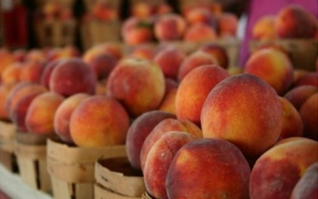 Ρωσία: Υποψίες ότι τα Σκόπια κάνουν επανεξαγωγή φρούτων