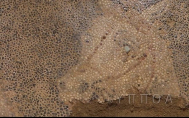 Αμφίπολη: Το μάτι του αλόγου στο ψηφιδωτό δείχνει το νεκρό;