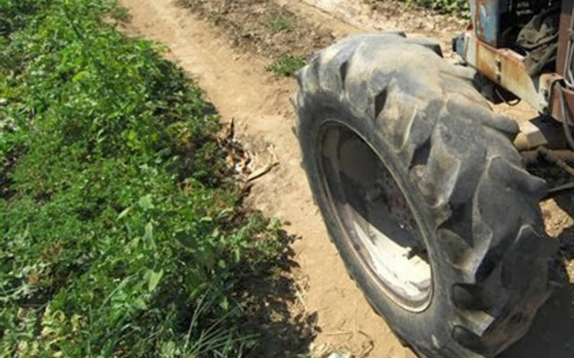 ΟΓΑ: Βοήθημα 1.000 ευρώ σε 450 πολύτεκνες αγρότισσες