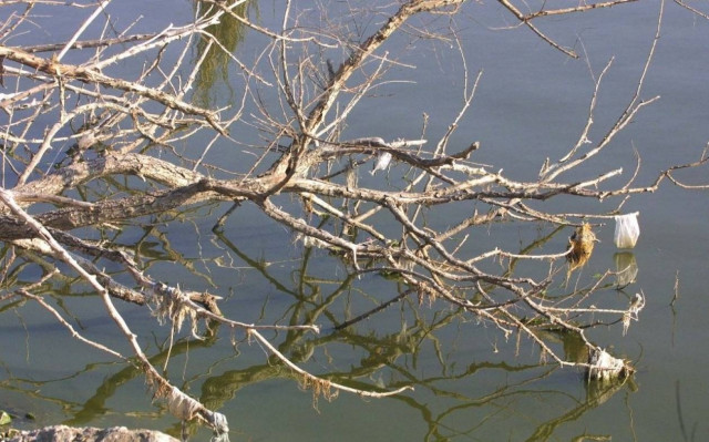 Βίντεο - ύμνος στην ελληνική φύση!