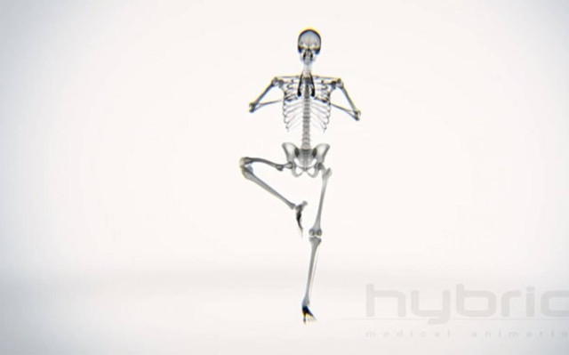 X-Ray Yoga (Video)