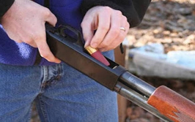 Εκπαιδευτικός πυροβόλησε και σκότωσε μικρό γατάκι