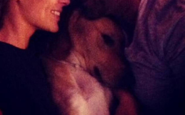 Αυτό είναι το νέο ζευγάρι της ελληνικής showbiz!