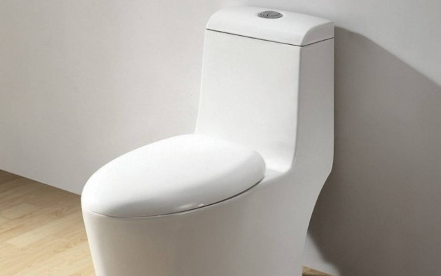 Η χειρότερη τουαλέτα όλων των εποχών, που σε… αγχώνει!