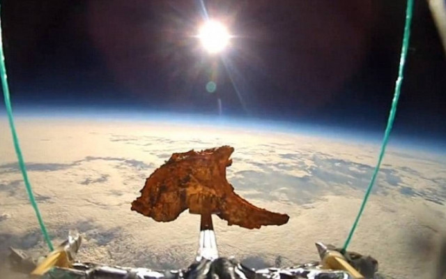 Έστειλαν στο διάστημα μία... μπριζόλα (video)