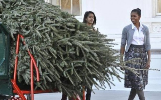 Στον Λευκό Οίκο το χριστουγεννιάτικο δέντρο