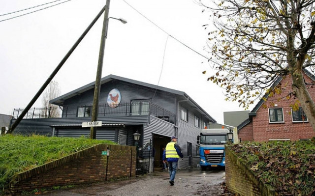 Ολλανδία: Νέο κρούσμα της γρίπης των πτηνών σε φάρμα