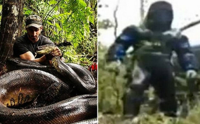 Έτσι τον έφαγε ζωντανό το ανακόντα!