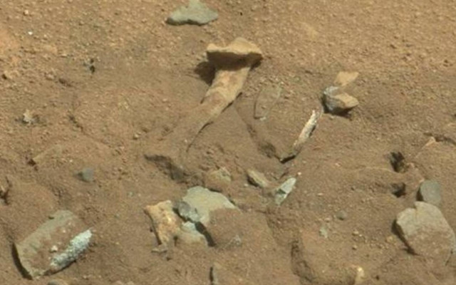 Βρέθηκαν ανθρώπινα οστά σε παραλία των Νέων Μουδανιών