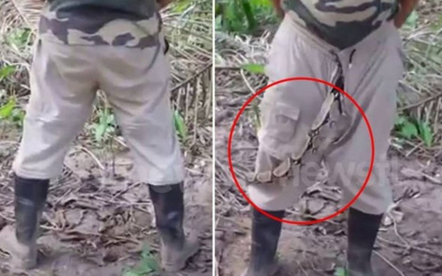 Έβγαλε… βόα από το φερμουάρ του παντελονιού του!