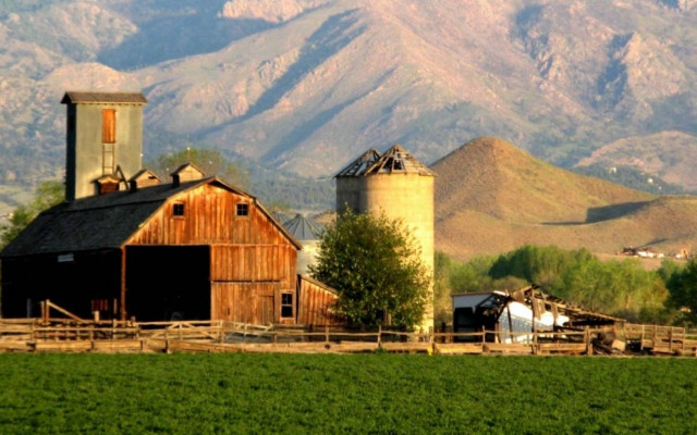 «Εγώ βλέπω καλά, εγώ ακούω καλά και εγώ βλαστημάω»