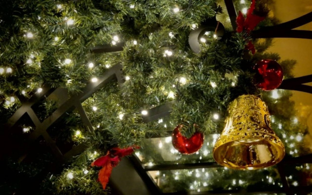 Συγχρονισμένα Χριστούγεννα... στην Καλιφόρνια!