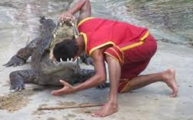 Ταϊλάνδη:  Οι γητευτές των κροκοδείλων (video)