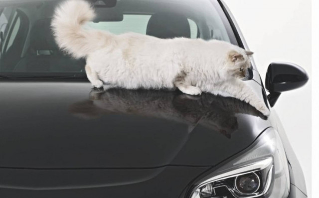 Opel: Έρχεται το Ημερολόγιο Corsa 2015 του Lagerfeld