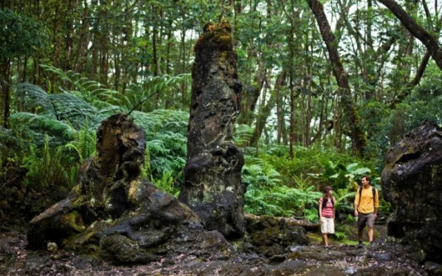 Ένα στοιχειωμένο δάσος από λάβα!