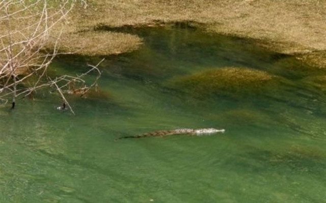 Θα βουτήξουν για το σταυρό στο λίμνη μαζί ... με το Σήφη