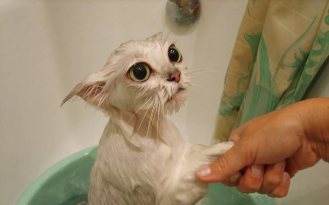 ΡΕΤΡΟ: Η φάρσα της δεκαετίας