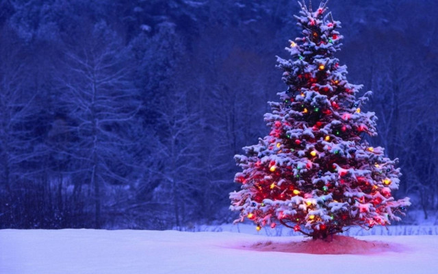 Καιρός: Χριστούγεννα με ήλιο - Πρωτοχρονιά με χιόνια