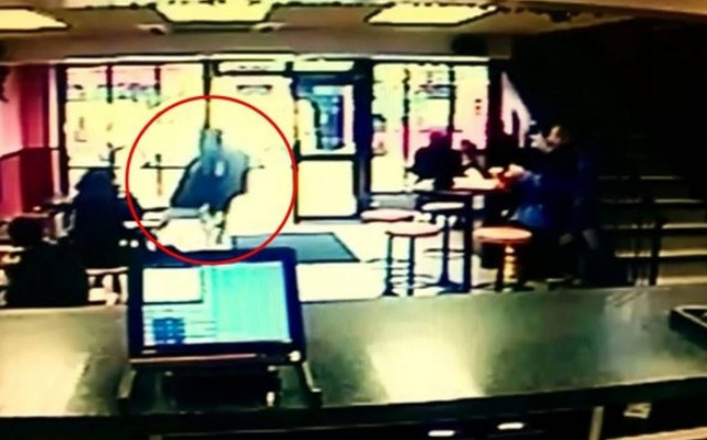 Ιρλανδία: Άλογο σκόρπισε τον τρόμο σε… εστιατόριο!