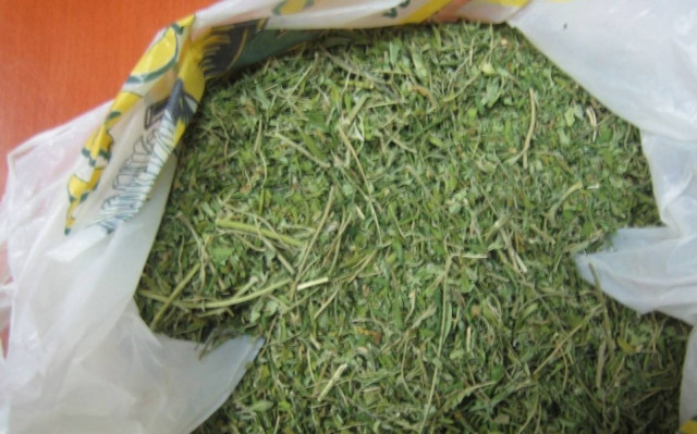 Ανήλικη σε μεγάλη υπόθεση ναρκωτικών