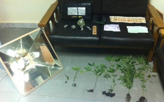 Συνελήφθη στη Θεσσαλονίκη 43χρονος για καλλιέργεια κάνναβης