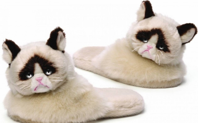 Grumpy Cat και σε παντόφλα