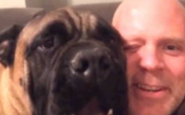 Ο σκύλος που απεχθάνεται τα Χριστούγεννα! (video)