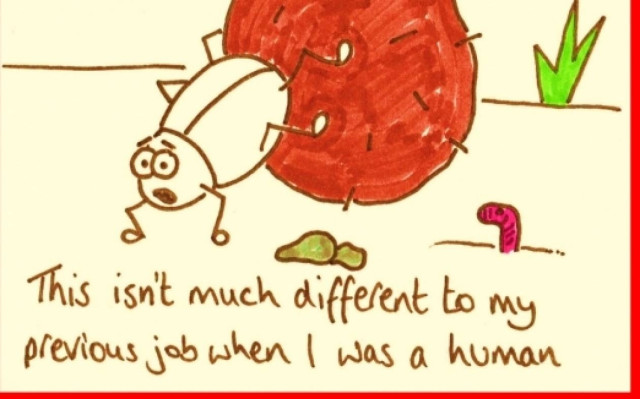 Τι ζώδιο πιστεύεις πως ήσουν στην προηγούμενη ζωή σου;