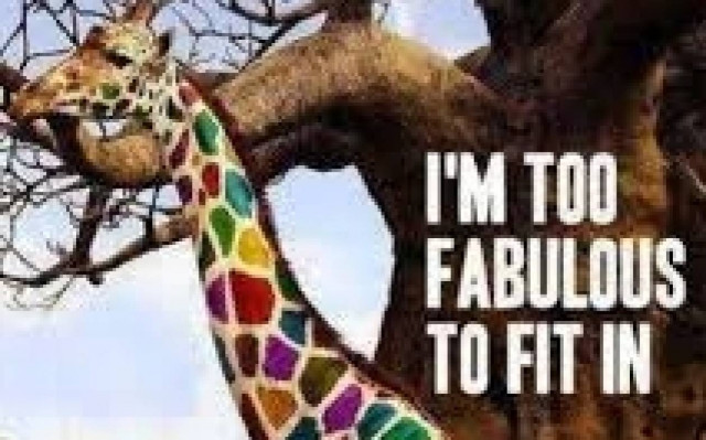 Kάνω ζωάρα στα social media