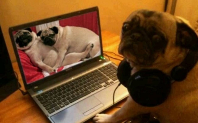 Aφήστε τις τσόντες, εν τέλει σας  ρίχνουν