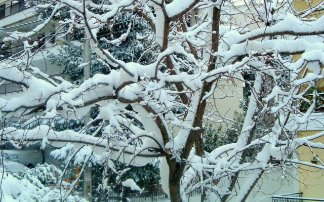 Καιρός: Προβλήματα και στην Αχαΐα από τη σφοδρή χιονόπτωση