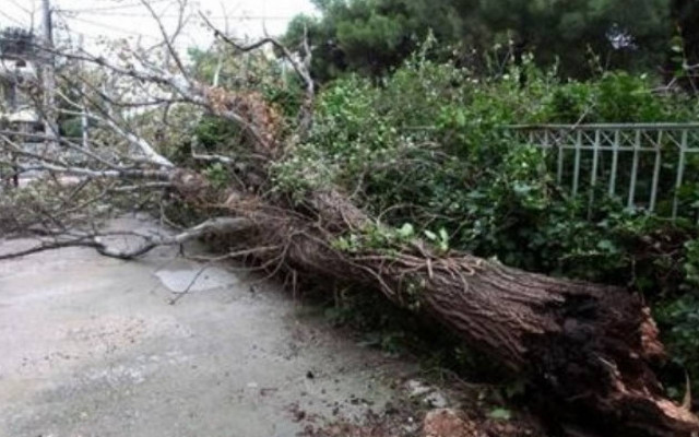 Προβλήματα στην Ήπειρο λόγω ισχυρών ανέμων