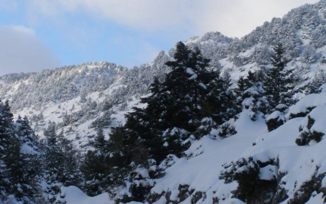 Στα λευκά «ντύθηκε» ο Ομαλός και τα ορεινά των Χανίων