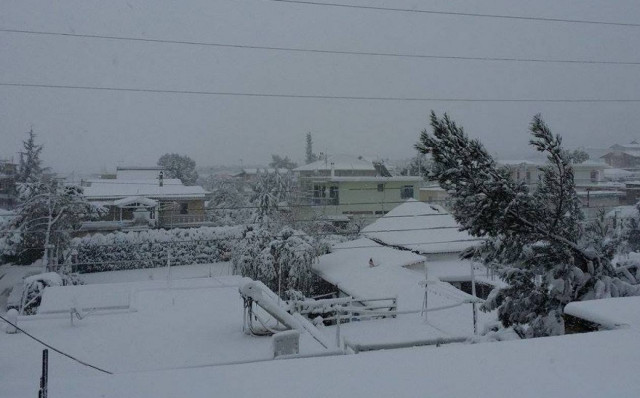 Καιρός: Στα λευκά όλος ο νομός Φθιώτιδας (pics)