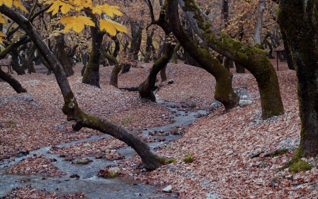 Πλανητέρο: Κρυμμένη ομορφιά στα Καλάβρυτα