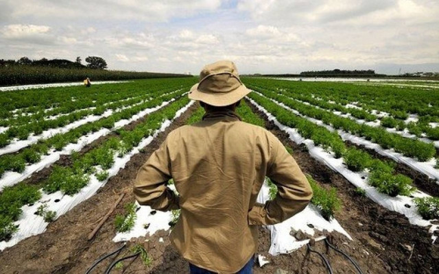 Καταβλήθηκε η πρώτη δόση της αποζημίωσης σε αγρότες και κτηνοτρόφους